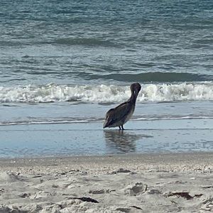 Meet your Posher, Agnieszka